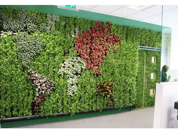 Living Plant Walls