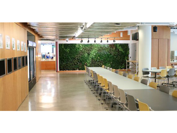 Living Plant Walls(10)