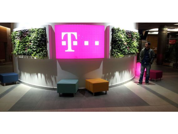 Living Plant Walls(16)