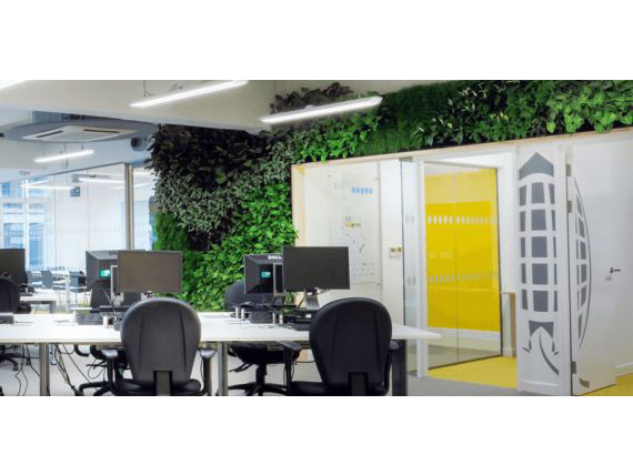 Living Plant Walls(17)