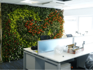 Living Plant Walls(2)