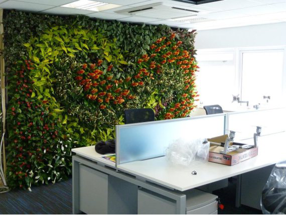Living Plant Walls(2)
