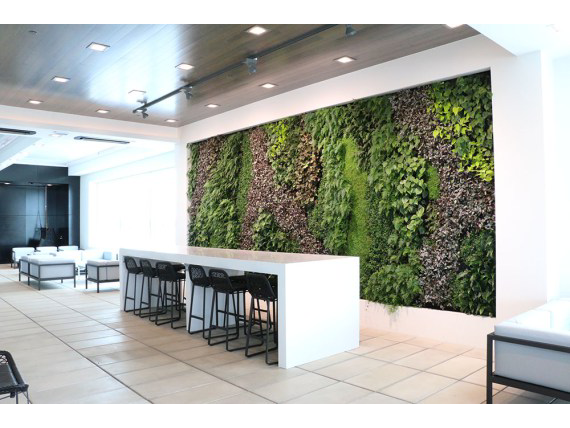 Living Plant Walls(20)