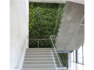 Living Plant Walls(5)