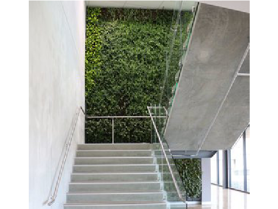 Living Plant Walls(5)