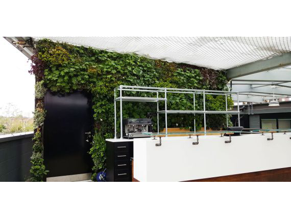 Living Plant Walls(6)