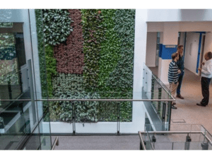 Living Plant Walls(7)