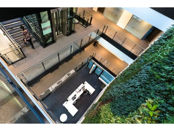 Living Plant Walls(8)