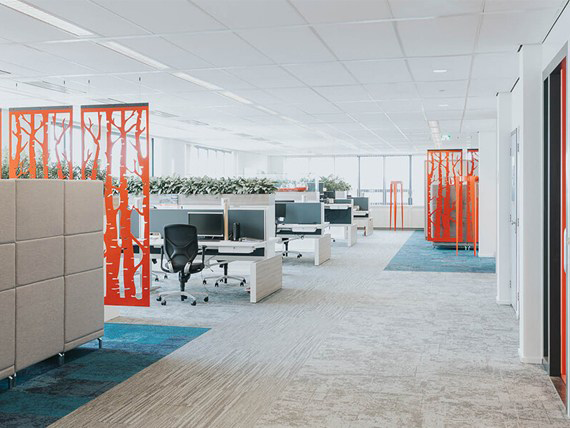 MAX electric straight (2)