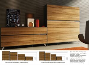 Novara Cabinet with DOORS