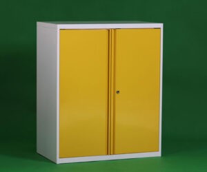 Swing Door Cabinet