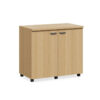 MOBILE UTILITY CUPBOARD CLMUC